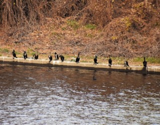 等間隔で止まる