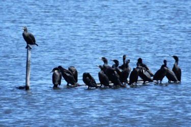 満員電車状態で止まる