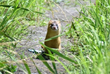 お前は誰だという風情