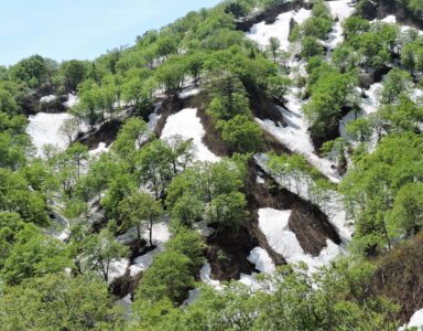 月山新道の朝日連峰沿いの新緑