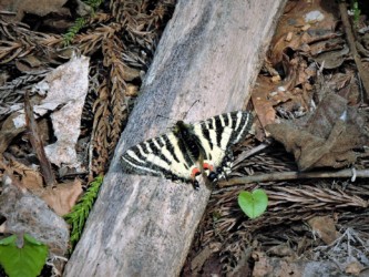 早春の陽射しで体を温める