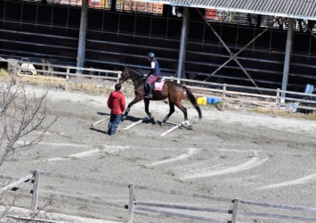 調教と乗馬の練習
