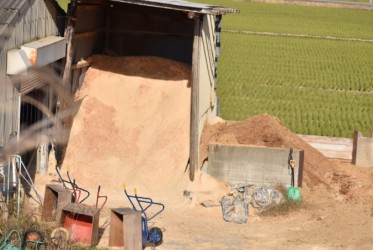 厩舎の床用の木屑