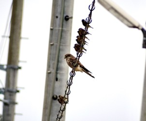 去年の呉越同舟?の様子