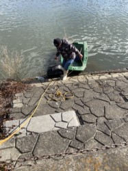 捕ったフナを陸揚げする