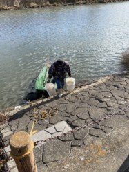 捕ったフナを陸揚げする