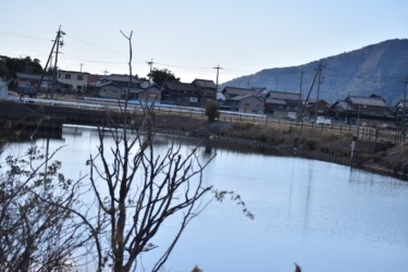 長良川排水機場前の沼