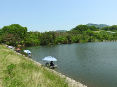 原崎沼