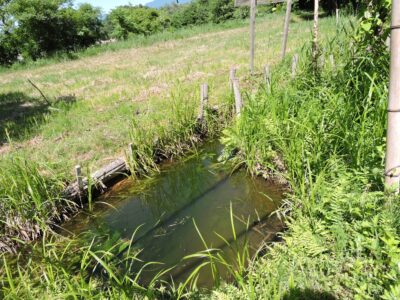 網張の里の小さな池