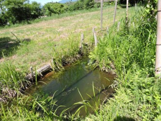 網張の里の小さな池