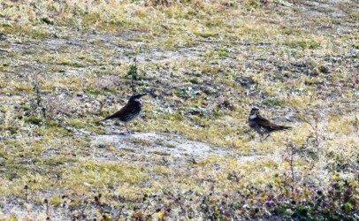 ④降りたって向き合う