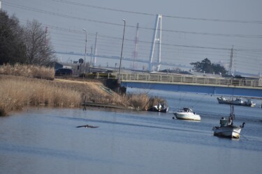 ②水面に向かう