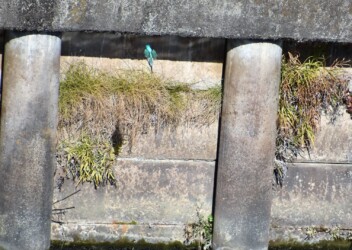 ②水面に突っ込む
