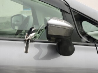 サイドミラーを覗く