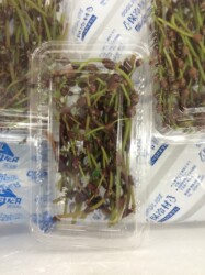 店頭で売られるミズ(ウワバミソウ)