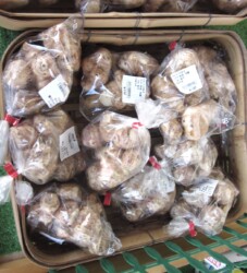 農産市場で売っているキクイモの根