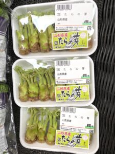 蟹江のスーパーで見かけた山形県産のタラの芽