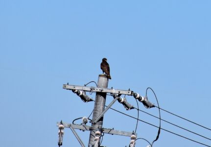 相手の様子を見る