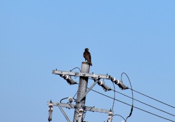 相手の様子を見る