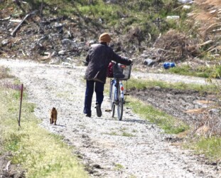 帰る女性についていくネコ