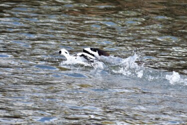 ②5月 飛び立とうとするができない