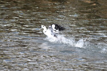 ②5月 飛び立とうとするができない