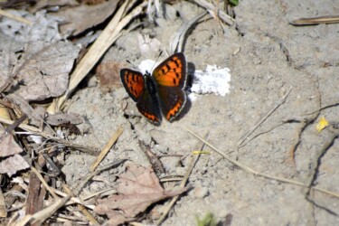 日光で体を温める