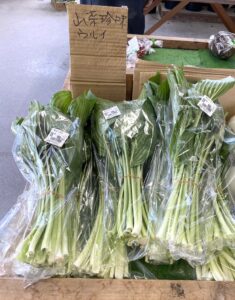 地産市場のウルイ販売