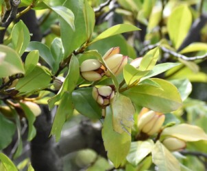 愛知県緑化センターで