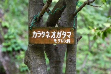 愛知県緑化センターで