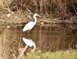 3月8日 魚を捕る