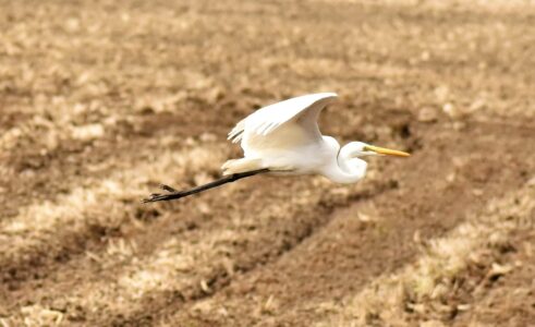 3月8日 飛翔中