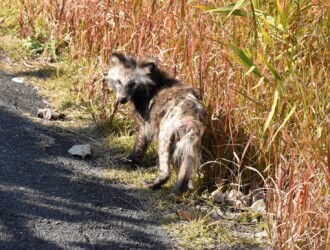 通り過ぎて振り返る