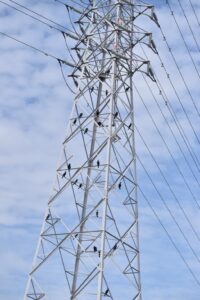 高電線の鉄塔にとまるカワウ