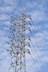 高電線の鉄塔にとまるカワウ