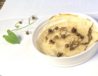 ハート形の出てきた葉