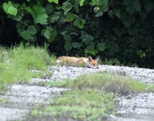 完全にくつろぐ