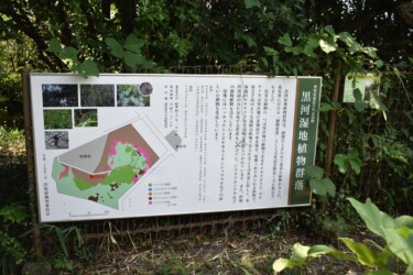 黒河湿地植物群落の掲示板
