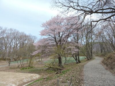 天童高原