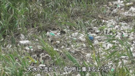 善太川のゴミ