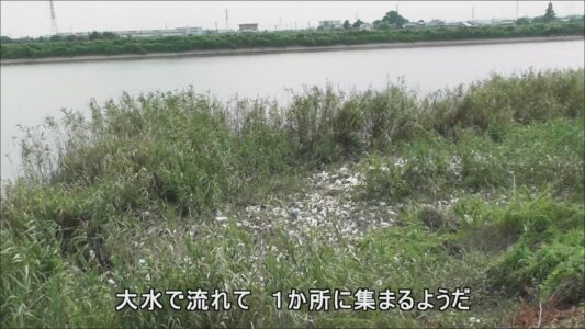 善太川のゴミ