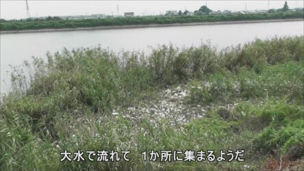 善太川のゴミ