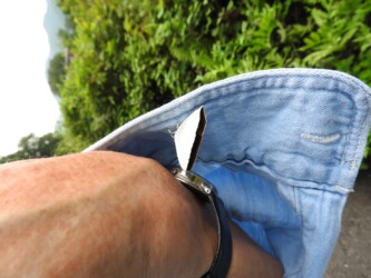 腕にとまるウラギンシジミ