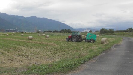 ロールベール作業中