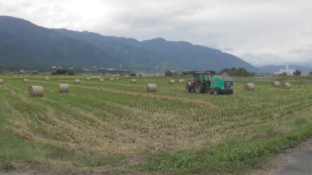 ロールベール作業中