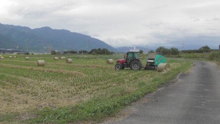 ロールベール作業中