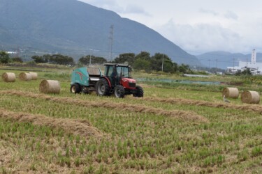 ロールベール作業中