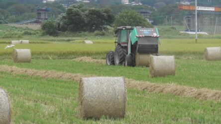 出てきたロール