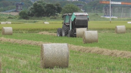 出てきたロール