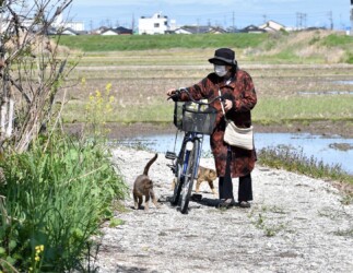 餌を運ぶ高齢者の女性